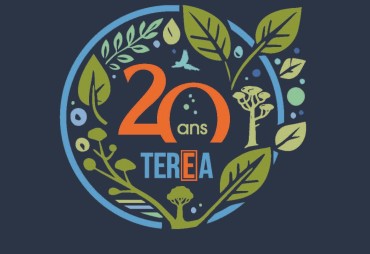 20 years of TEREA: a constant commitment to the sustainable management of natural resources and tropical forests