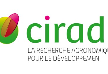 CIRAD is hiring a wood engineer for a position in Gabon