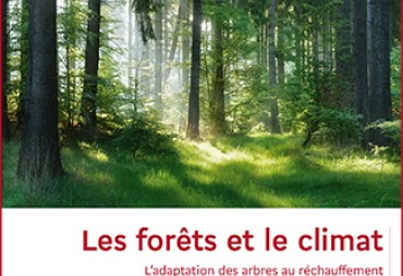 Déforestation et commerce international - La 'déforestation importée', source de controverses diplomatiques – Article de Alain Karsenty - CIRAD