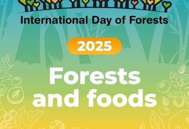 Forest-themed photo competition opens to mark International Forest Day 2025