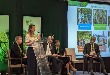 A look back at the first PEFC Forest Forum