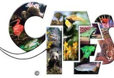 Réunion CITES Cameroun - Douala - Date à confirmer