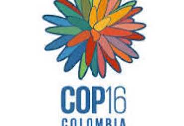 COP 16 Biodiversité en Colombie