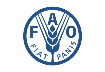 FAO COFO in Roma