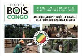 L’ATIBT lance le Projet « Appui au secteur privé du marché intérieur du bois » (ASP-MIB) en République du Congo