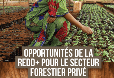 Study on REDD+ opportunities in the private sector