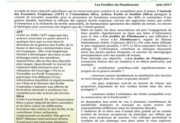 AFT and Silva launch a newsletter « Les feuilles du flamboyant »