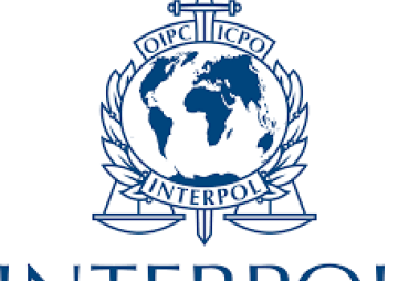 Création du groupe de travail Interpol sur les crimes forestiers