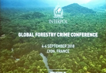 L’ATIBT à la conférence mondiale sur la criminalité forestière (Interpol)