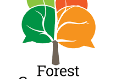 Le secteur privé au Forest Governance Forum à Brazzaville