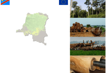 DRC- VADE MECUM ON THE LEGALITY GRIDS OF THE INDUSTRIAL AND ARTISANAL EXPLOITATION OF WOOD