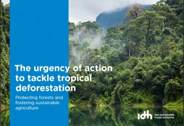 Rapport IDH sur l’état des lieux des efforts déployés pour mettre fin à la destruction des forêts tropicales