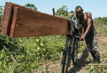 Formalizing artisanal logging in Central Africa