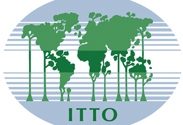 L’OIBT publie de nouvelles directives pour assurer le respect des normes environnementales et sociales dans ses projets