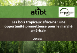 Les bois tropicaux africains : une opportunité prometteuse pour le marché américain