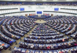 EUDR: EU Council supports postponement, but without modification