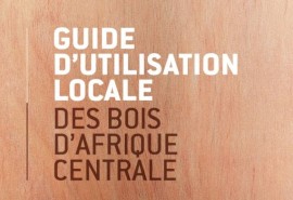 Rappel : Un nouveau guide sur l’utilisation des bois d’Afrique Centrale