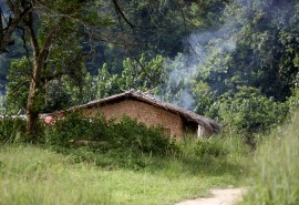 Les forêts communautaires certifiées au Guatemala