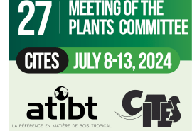 Participation de la Taskforce CITES de l’ATIBT à la 27ème session du Comité pour les plantes de la CITES