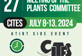 L’ATIBT participe activement à la 27ème Commission des plantes de la CITES