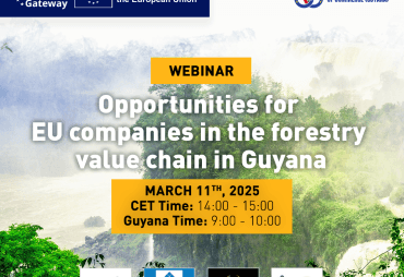 Register for the webinar “Opportunities for EU companies in the forestry value chain in Guyana” on March 11th, 2025