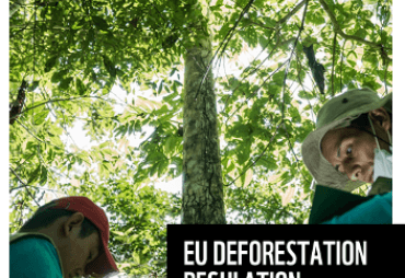 WWF launches a practical guide to prepare for the EUDR