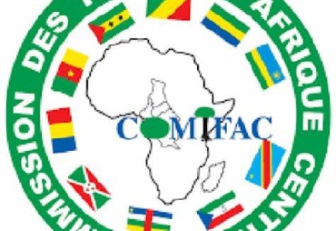 Renewal of the collaboration agreement between COMIFAC and ATIBT in Douala