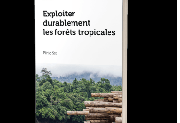 Publication of an essay titled “Exploiting tropical forests sustainably”