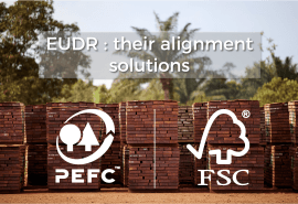 EUDR: FSC and PEFC certifications present their alignment solutions