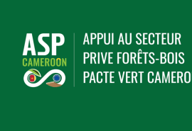 ATIBT is launching two calls for applications to support our flagship project, Appui au Secteur Privé - Pacte Vert, dedicated to sustainable forest management