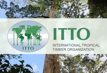 Rising costs and weakening demand is the theme of the Annual Market Discussion – conference organized by ITTO