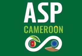 Invitation to a professional trip to Cameroon: commit to a green economy with the ASP-Pacte Vert Project