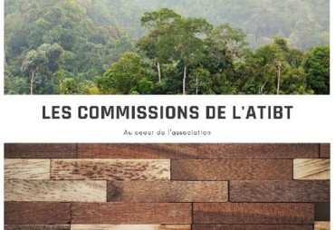 La Commission Matériau Bois & Normalisation de l’ATIBT s’est tenue le 21 mai 2024