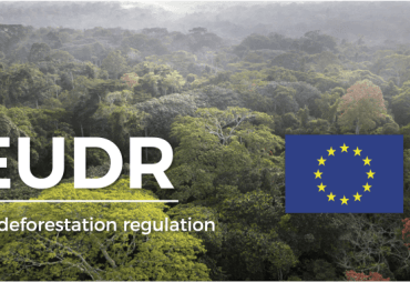 Implementation of the EUDR: New API Applications for Due Diligence Declarations