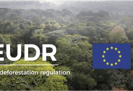 The Commission proposes an additional delay for the implementation of the EUDR