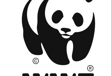 Opportunité d’emploi : WWF recrute en République Centrafricaine