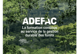 Presentation of ADEFAC/RIFFEAC job descriptions