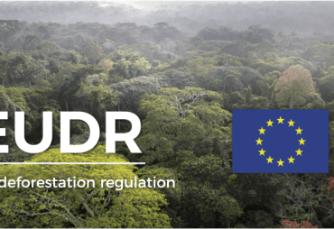 EUDR: the European Commission's guide new compliance for companies in the timber sector and reminder of the Thursday, March 13th webinar