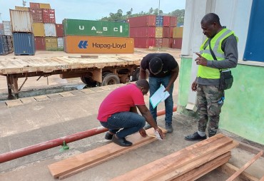 Training in identification of forest species on processed products, scaling and grading of sawn timber in Libreville (Gabon)