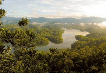 « The Forest Factor » : La nouvelle publication du Partenariat de collaboration sur les forêts (PCF), soutenue par l'OIBT