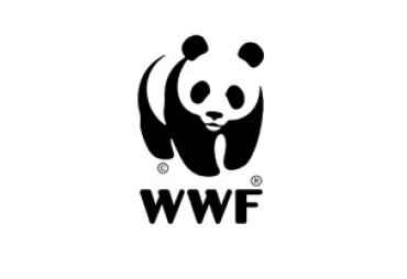 Innovation for forest conservation: WWF unveils tomorrow's technologies