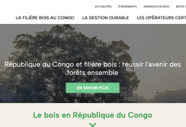 Découvrez Bois Congo : le nouveau portail internet dédié au secteur forestier de la République du Congo