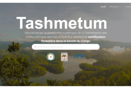 Online launch of Tashmetum: the platform that centralizes documentation on forest certification in Central Africa