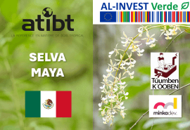 ATIBT mission in Mexico: Traceability and sustainable forest management in the community forests of Yucatán