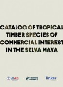 CATALOG OF TROPICAL TIMBER SPECIES OF COMERCIAL INTEREST IN THE SELVA MAYA