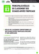 Fascicule 3 - Principales règles de classement des sciages avivés tropicaux