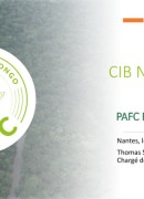 La certification PAFC dans le Bassin du Congo