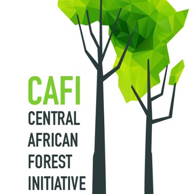 CAFI- Congo signs the letter of intent and Gabon a new agreement on ...